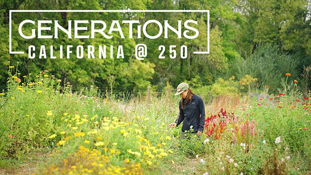 Download a zipped file of promotional materials in the Additional Assets section below.